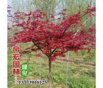 產(chǎn)品庫